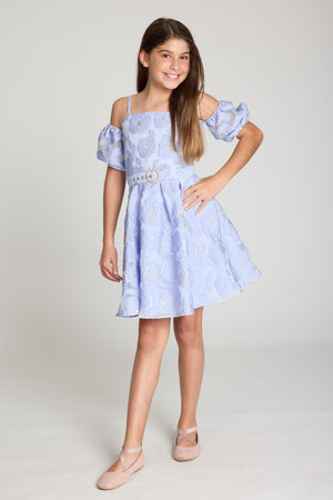 Selena Puff Sleeve Dress