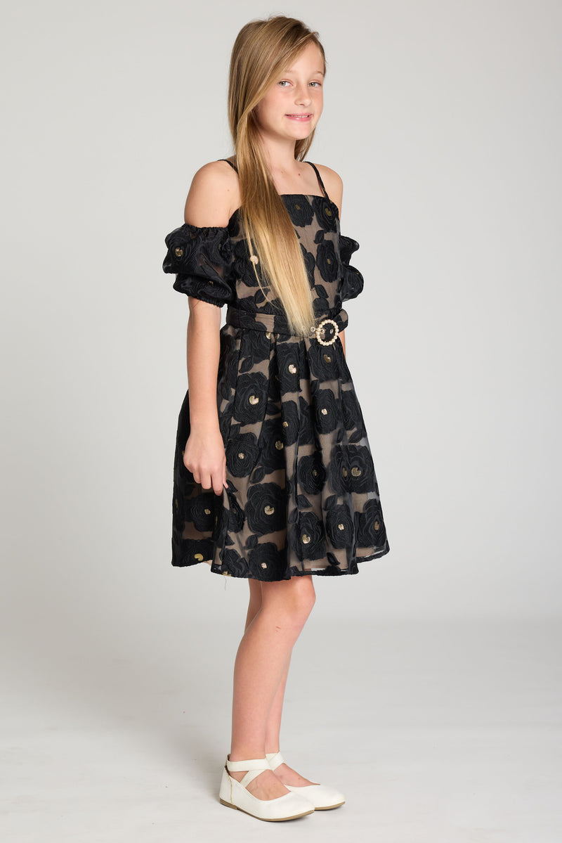 Selena Puff Sleeve Dress