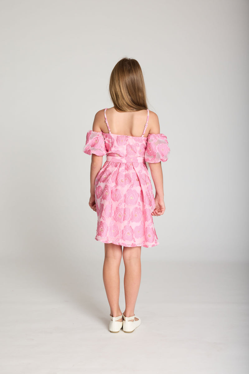 Selena Puff Sleeve Dress