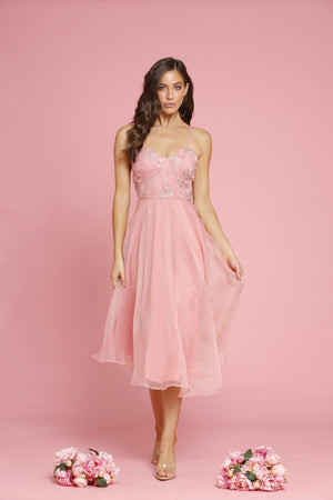 Valentina Ballerina Dress